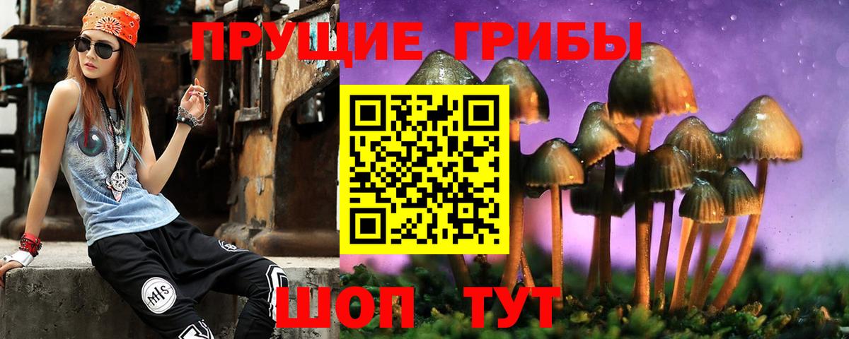 Семёнов  где купить наркоту  Вход с VPN  Псилоцибиновые грибы ЛСД  Галлюциногенные грибы Psilocybe 