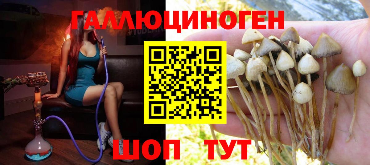 Галлюциногенные грибы мицелий Семёнов